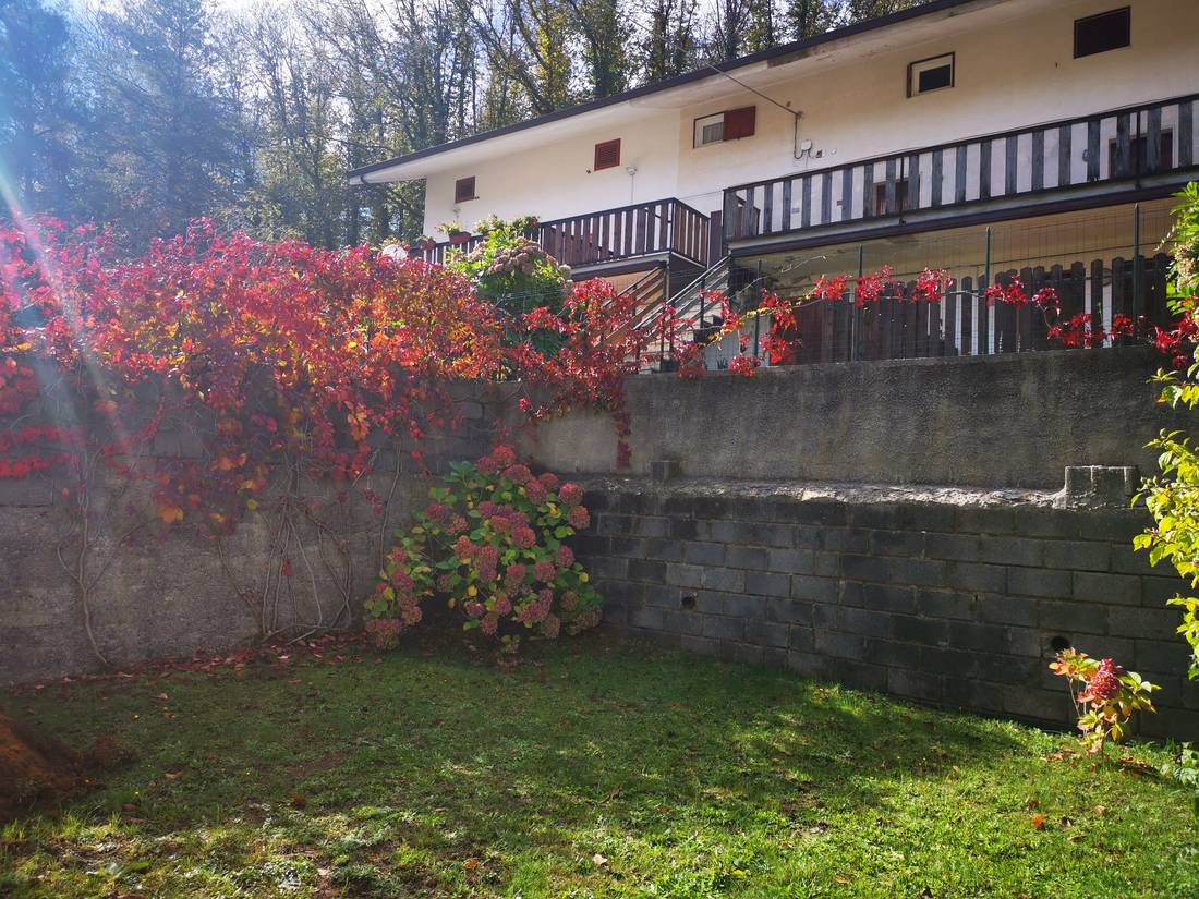 Una casa del villaggio tra il verde e il fogliame autunnale