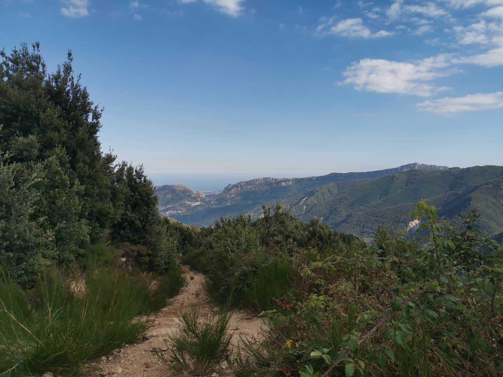 Dai sentieri delle Serre la vista arriva fino al mare